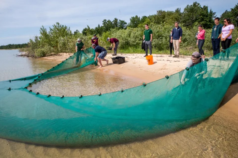 Beaver Island Group