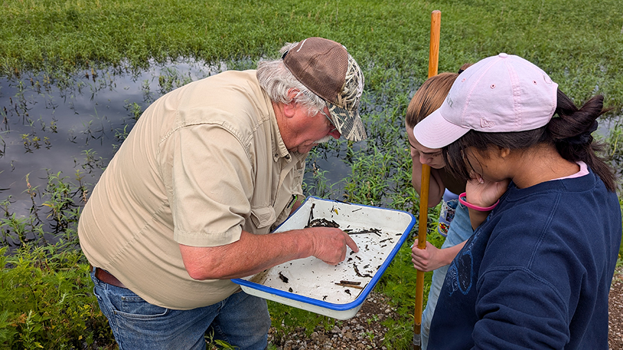 Two students and an instructor identifying water specimens in a marsh environment