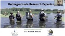 Webinar start screen - people standing in marsh with field equipment and wearing waders